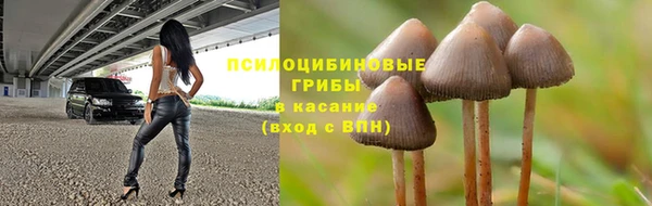 mdpv Армянск