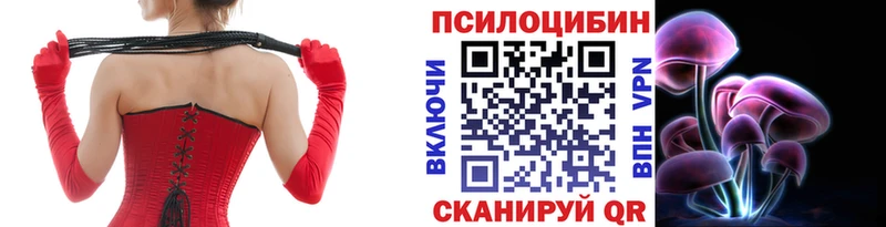 как найти наркотики  Тейково  Галлюциногенные грибы GOLDEN TEACHER 